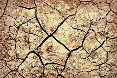 Cracks on the parched earth at the bottom of the dried-up lakeの写真素材