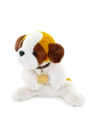 Plush dog toy isolated on a white background.の写真素材