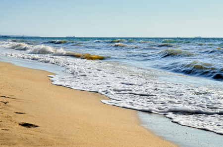 Sea waves washed clean beach made of shells. Landscape on a wild beach. The sea in the summer.の写真素材