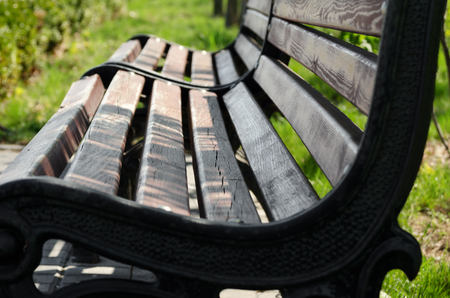Free bench in a park on the waterfrontの写真素材
