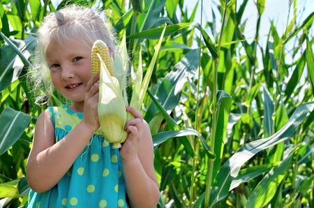 A small, cheerful girl among high, green corn.