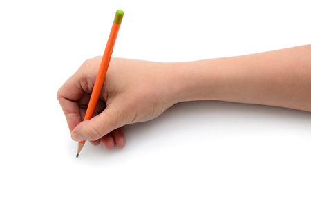 Hand draws with a pencil on white paperの写真素材