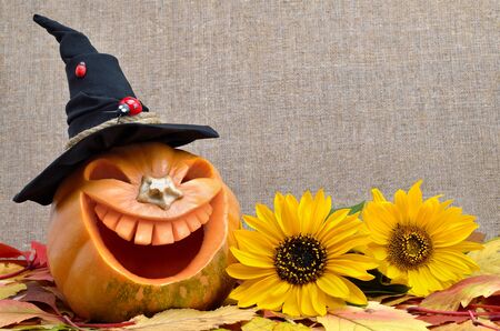 Pumpkin for Halloween carved in the shape of a smile Jack Lantern.の写真素材
