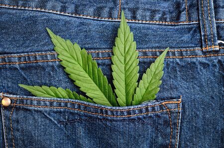 Cannabis leaf on blue jeans background. Hemp and denim.の写真素材