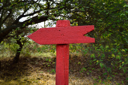 Red, wooden pointer, arrow, indicates the direction in the forestの写真素材