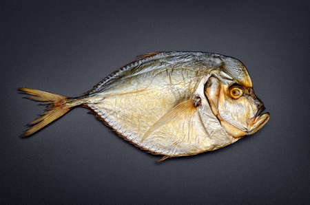 Cooked sea fish with flat body isolated on black backgroundの写真素材