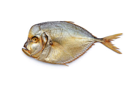 Cooked sea fish with flat body isolated on white backgroundの写真素材