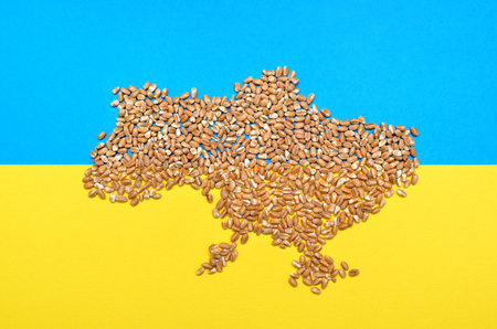 Wheat grains on the blue-yellow flag of Ukraine. global food crisis concept due to warの写真素材