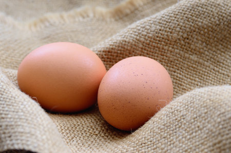Fresh chicken eggs on the table. Animal products.の写真素材