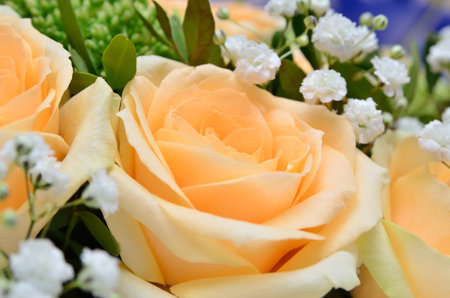 Bouquet of yellow pastel roses and white gypsophila close-upの写真素材