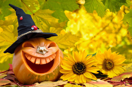 Halloween pumpkin against mottled, colorful autumn foliage. Jack O' Lantern Headの写真素材
