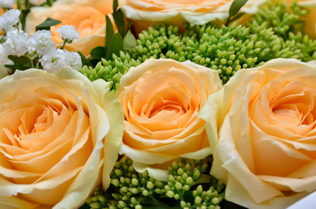 Bouquet of yellow pastel roses and white gypsophila close-upの写真素材