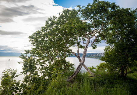 View of landscapes of Avacha Bay, Petropavlovsk Kamchatsky, Russiaの写真素材