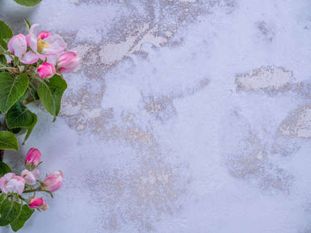 Flowering apple branch with buds on spotted concrete backgroundの写真素材