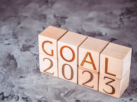 Text 2023 GOALS on wooden cubes as a motivation concept