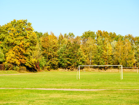 Soccer field in an autumn training park surrounded by treesの写真素材