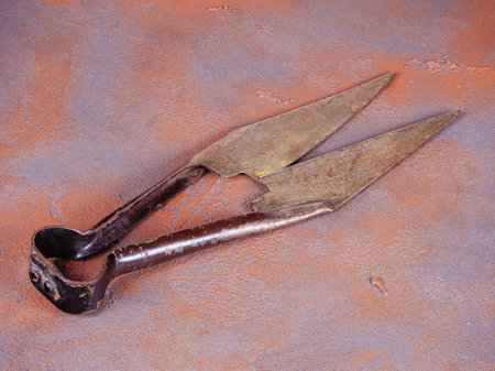 Old rusty shear shears on a grunge orange backgroundの写真素材