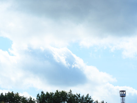 Tree tops and observation tower against the sky and cloudsの写真素材