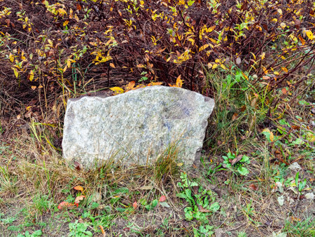 A gray stone lay in the grass in front of the bushesの写真素材