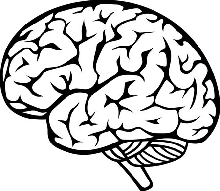 Vector icon of human brain isolated on white backgroundのイラスト素材