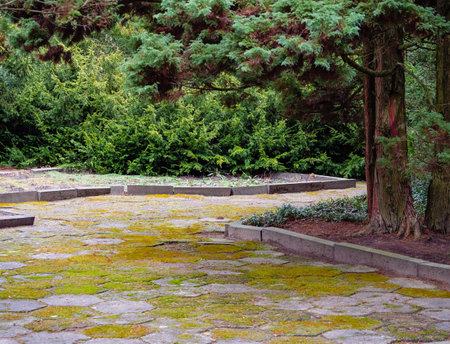 A rest area made of old concrete slabs inside a beautiful parkの写真素材