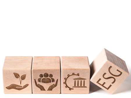 ESG criteria symbols on wood cubes isolated on white as concept of environmental conservation principlesの写真素材