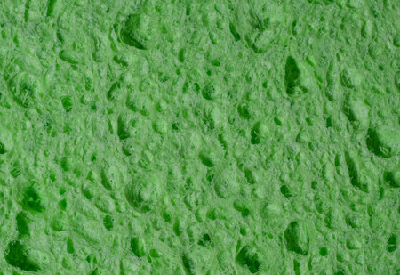 Texture of a porous green sponge in close-up as an abstract backgroundの写真素材