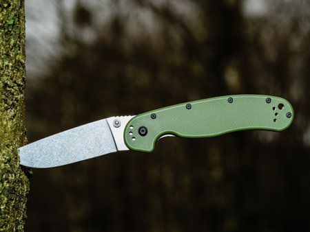 Green folding knife EDC stuck in the trunk of a birch treeの写真素材