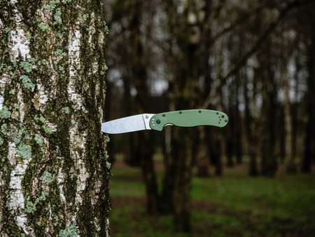Green folding knife EDC, stuck in the trunk of a birch tree in the background of the forestの写真素材