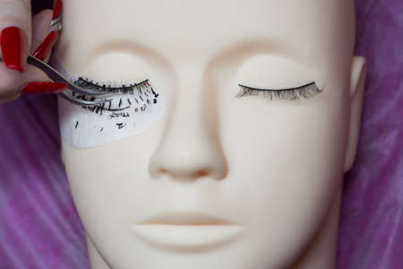 training a young master to build eyelashes on a silicone mannequin. Work with tweezers, volume shaping, correction, care and removal.の写真素材