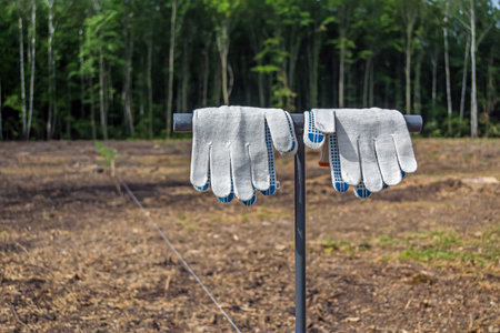 clean, working gloves hanging on the tool for planting tree seedlings, before the forest planting.