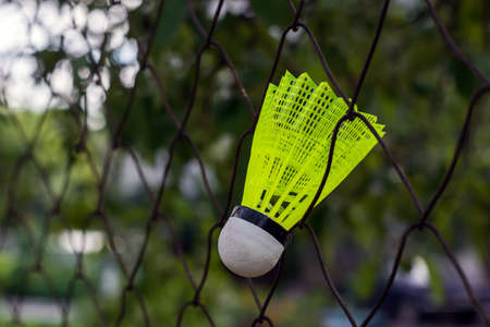 shuttlecock with a white tip and a light green shank on the gaming, fenced net, site.の写真素材