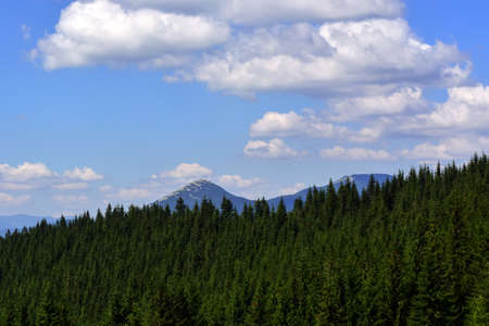 landscapes of mountains covered with dense coniferous forest, against a blue sky with clouds.の写真素材