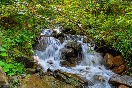 a small waterfall of a mountain stream in the forest.