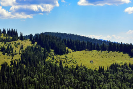 lonely house in a clearing in the forest, high in the mountains.の写真素材