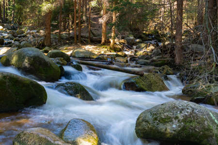 Rocky mountain stream and gum trees in backgroundの写真素材