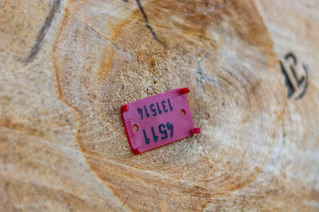 plastic tags on the ends of freshly cut logsの写真素材