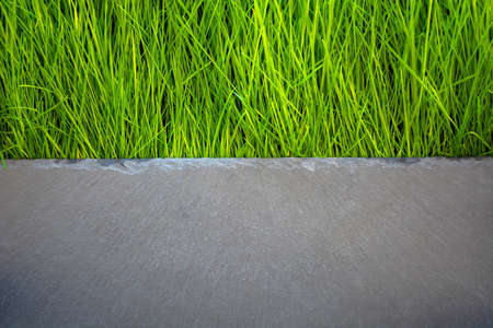 background of horizontal stripes of slate stone and grass.の写真素材