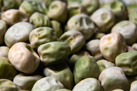 pickled, prepared for sowing, large pea seeds.の写真素材