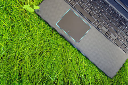 laptop standing on the green grass. remote work concept.