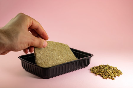 linen mat in a plastic container for sowing micro-greens.