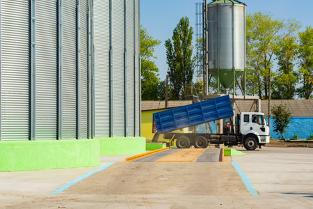 loading grain by trucks onto the elevator into metal containers.の写真素材