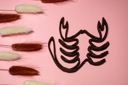 Scorpio symbol printed with chocolate on a 3D printer.の写真素材