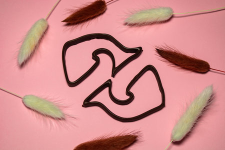 Fish symbol printed with chocolate on a 3D printer.
