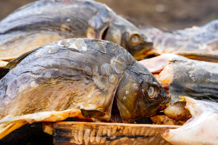 heads of smoke-smoked fish stacked in rows.の写真素材