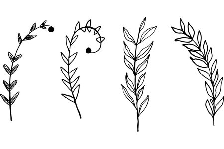 Minimalism vector branches. Graphic leaves for tattoos, invitations. black and white leaves. Set line art. vector illustration of autumn leavesのイラスト素材