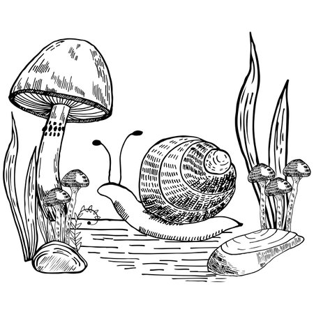 Composition mushrooms and snail vector graphics. Snail, stones, mushrooms line art illustration. Graphic mushrooms for tattoos, invitations. black and white mushroomsのイラスト素材