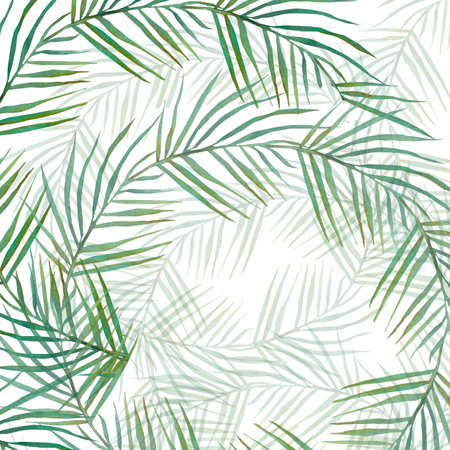 Tropical green background. Summer background with green branches. Elements of floral design. Perfect for wedding invitations, greeting cards, blogs, posters and moreの写真素材