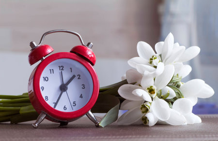 Red alarm clock and small bouquet of snowdrops.の写真素材