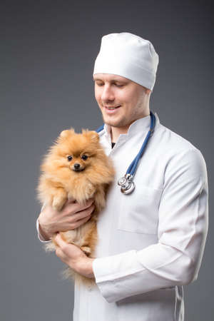 Smiling male vet with phonendoscope holding cute pomeranian dog.の写真素材